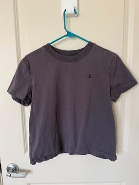 Calvin Klein Faded Purple Short Sleeve Cropped Tee